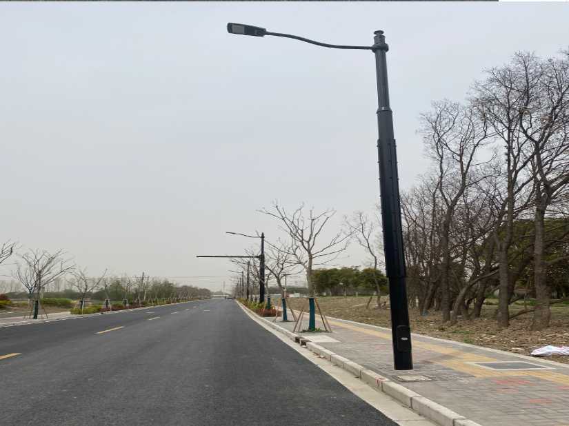 龙马潭区上海综合杆 太阳能路灯工程